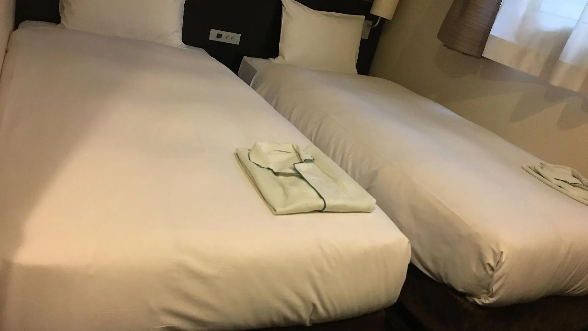 Cvs Bay Hotel Tokyo