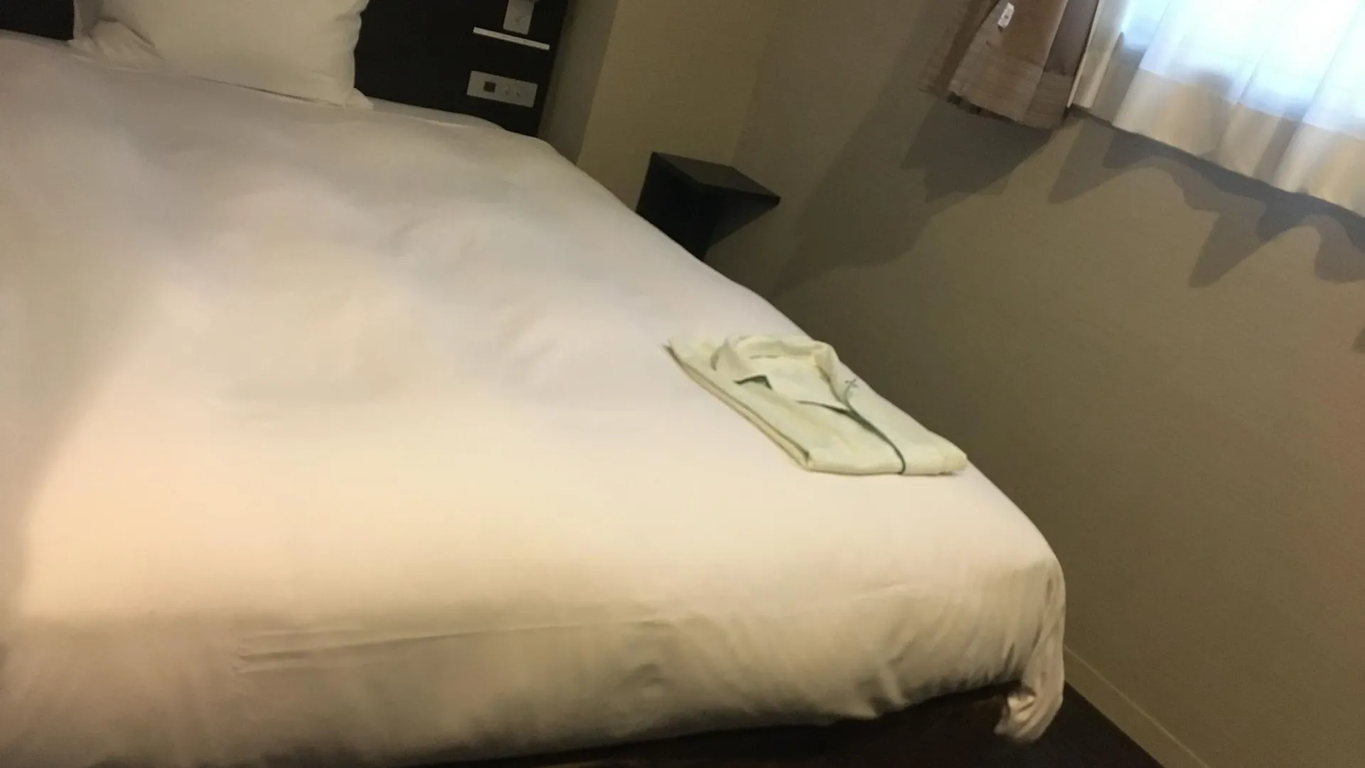 Cvs Bay Hotel Tokyo 3*,