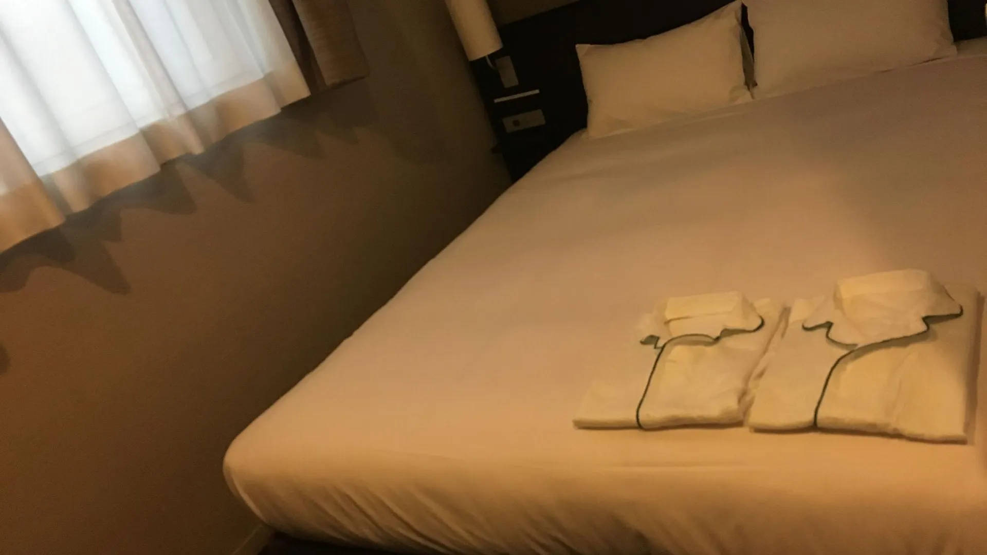 Cvs Bay Hotel Tokyo