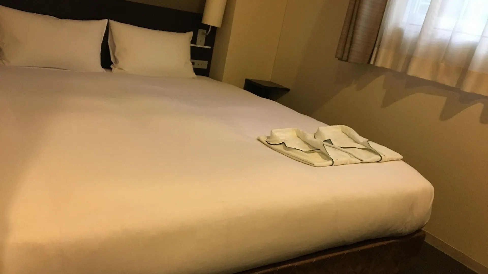 Cvs Bay Hotel Tokyo